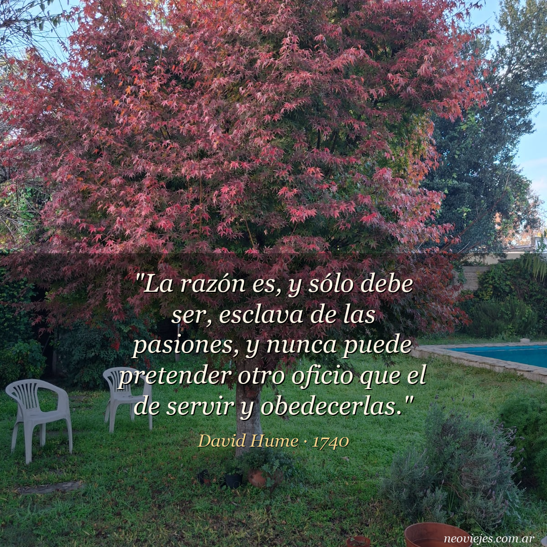 Cita de David Hume